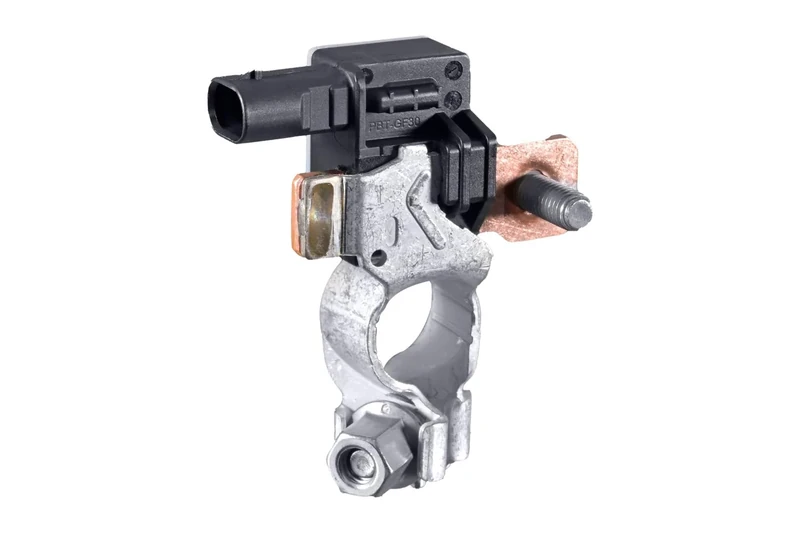 HELLA 6PK 012 767-171 Sensor, battery management - 12V - Bolted - without cable set