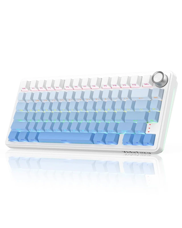 VidaTeco K75 Wireless Mechanical Gaming Keyboard, 75% Layout with Knob with Gasekt-Mount, RGB,Hot Swappable, 8000mAh battery,Bluetooth/2.4Ghz (Blue&White Gradient, QWERTY Layout)