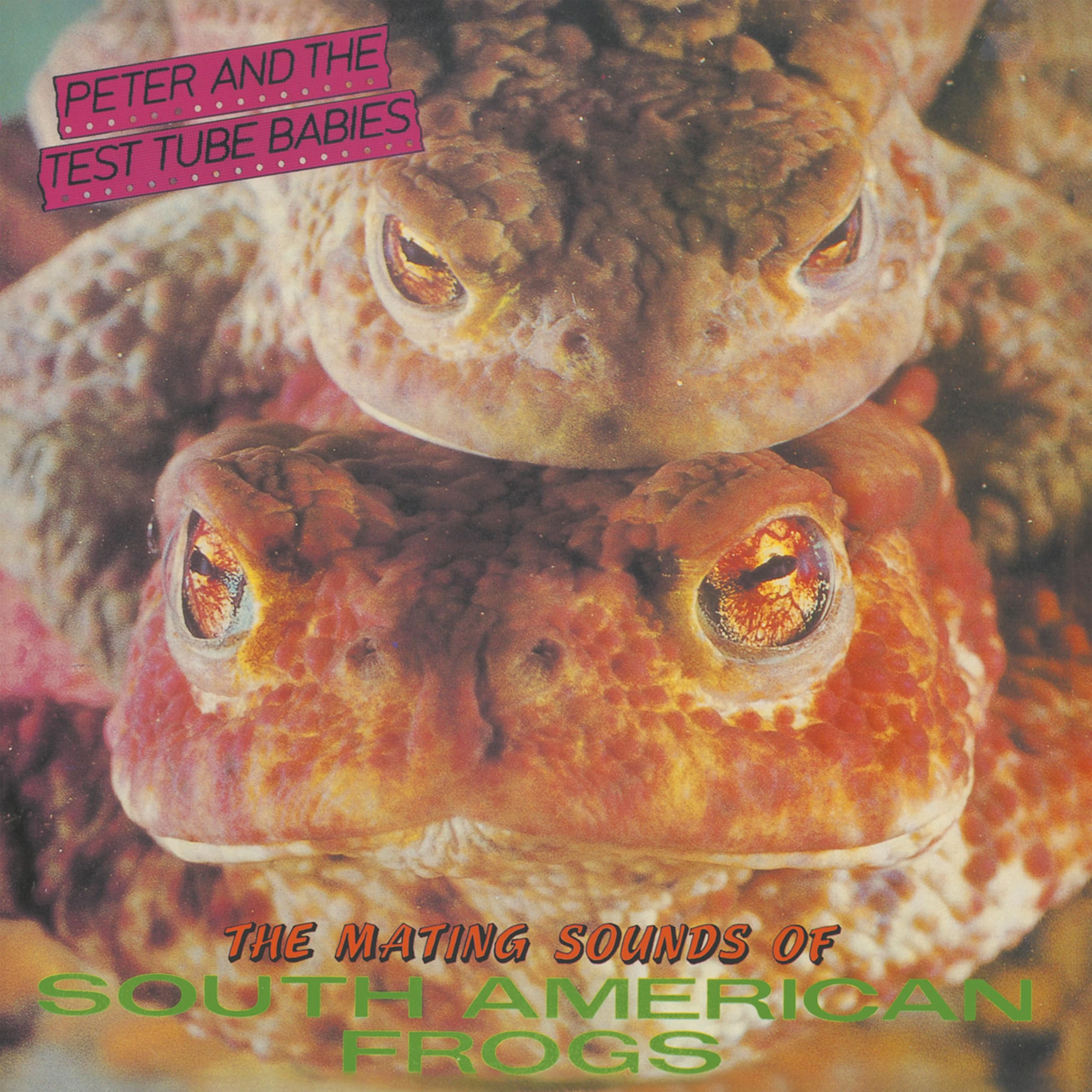 THE MATING SOUNDS OF SOUTH AMERICAN FROGS12" VINYL EDITION [VINYL]