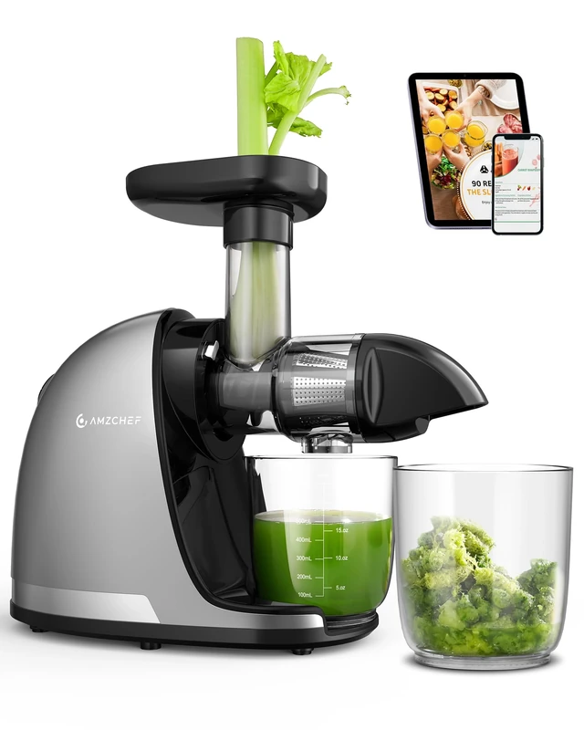 AMZCHEF Juicer Machines - Cold Press Slow Juicer - Masticating Juicer for Whole Fruits and Vegetables - Delicate Chew No Need to Filter