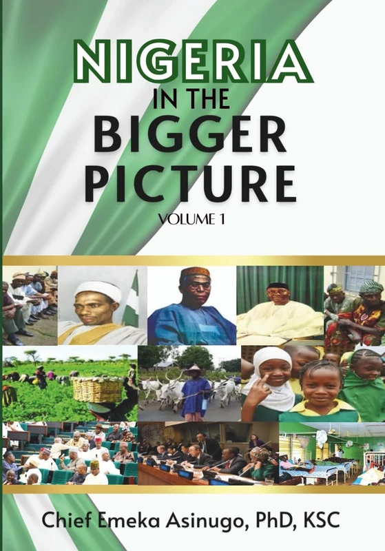 NIGERIA IN THE BIGGER PICTURE: Volume 1