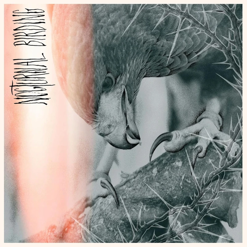 Nocturnal Birding [Explicit]