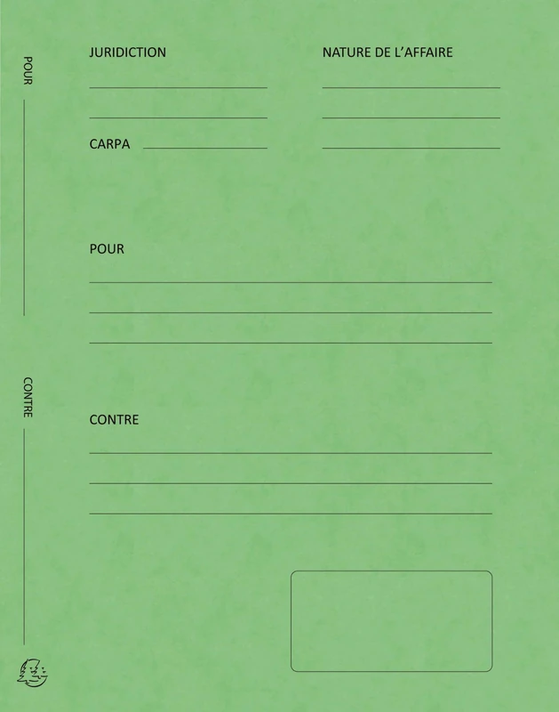 Exacompta - Ref. 220103E - Box of 5 Packs of 25 Pleadings for/Against - Glossy Card - Size 25 x 32 cm for A4 documents - Lime Wood