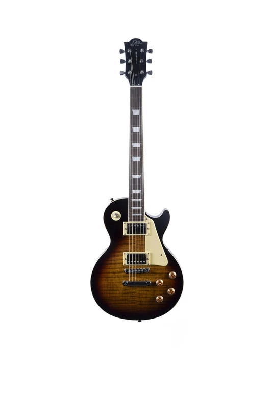 EKO Guitars LS-300 Electric Guitar, Poplar Body, Maple Handle, Eko WPC Resin Fingerboard, 2 Humbucker Pickups, Tune-O-Matic Bridge, 22 Keys, Standard Scale, Honey Burst Colour