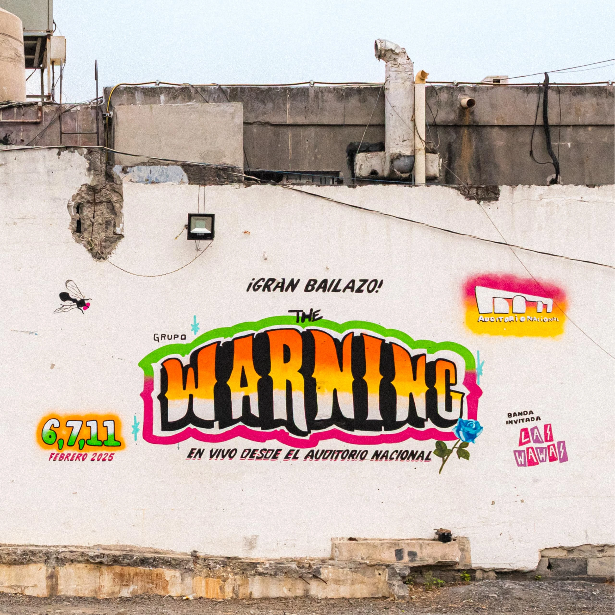 Live from Auditorio National CDMX [VINYL]