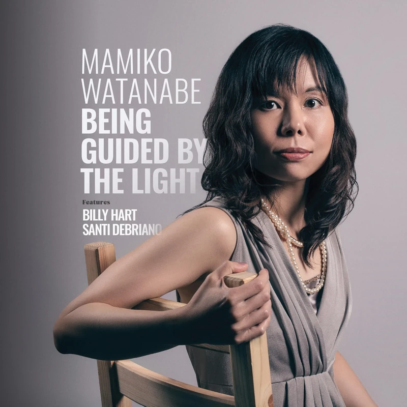 Being Guided By The Light [180 Gram Black Vinyl] [Vinyl LP] [VINYL] - Image 1