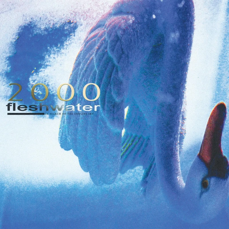 2000: In Search Of The Endless Sky [Explicit]