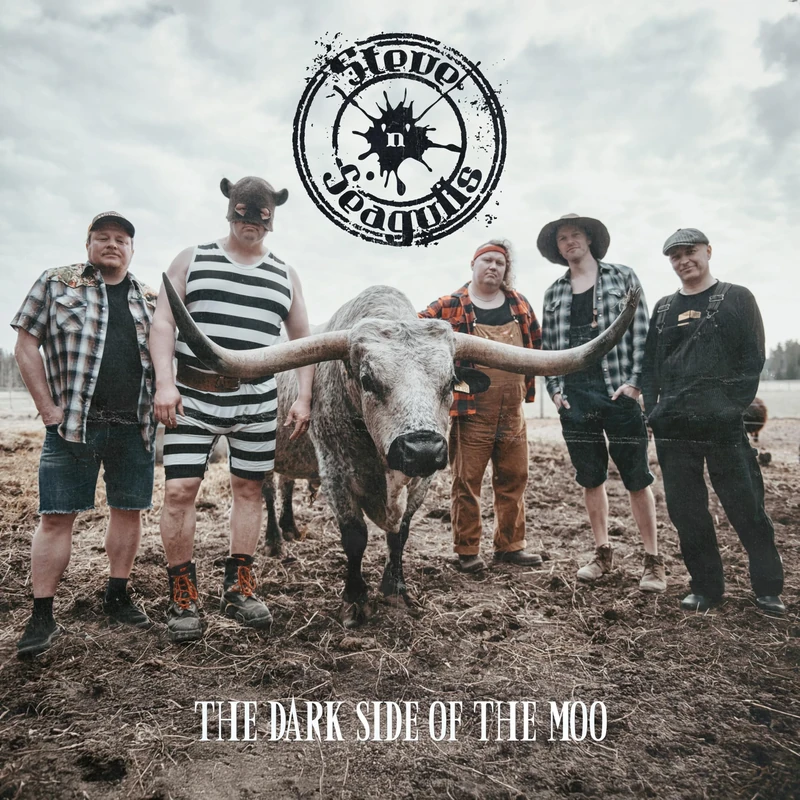 Playground Music - The Dark Side of the Moo Country Album - Image 1