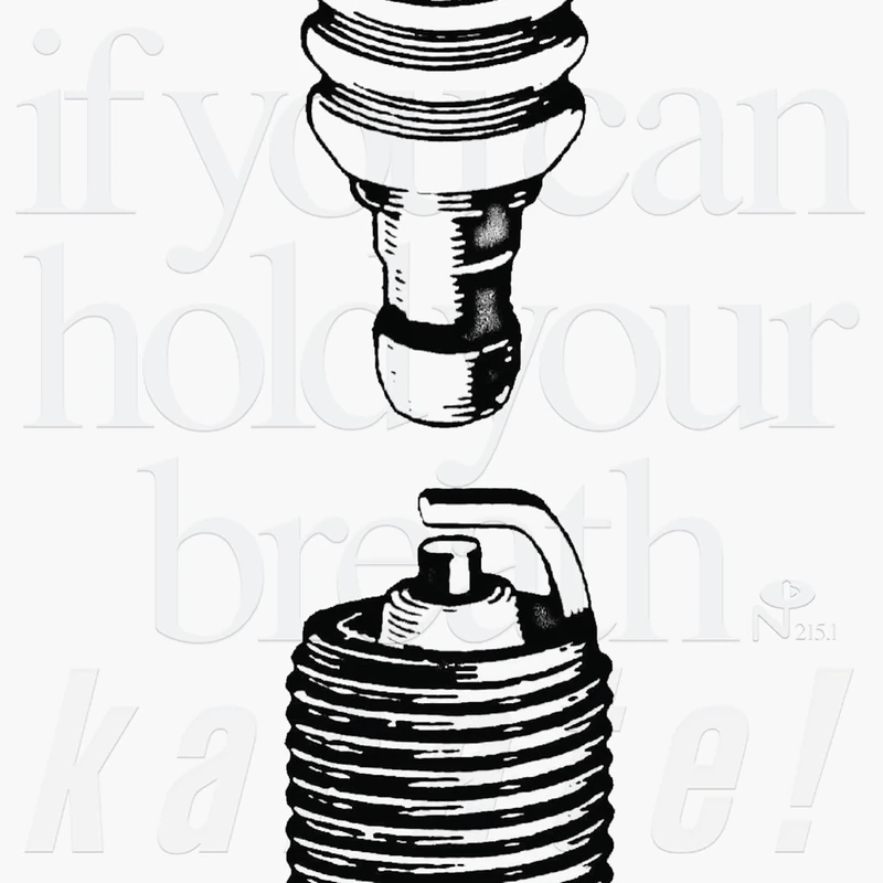 If You Can Hold Your Breath [VINYL]