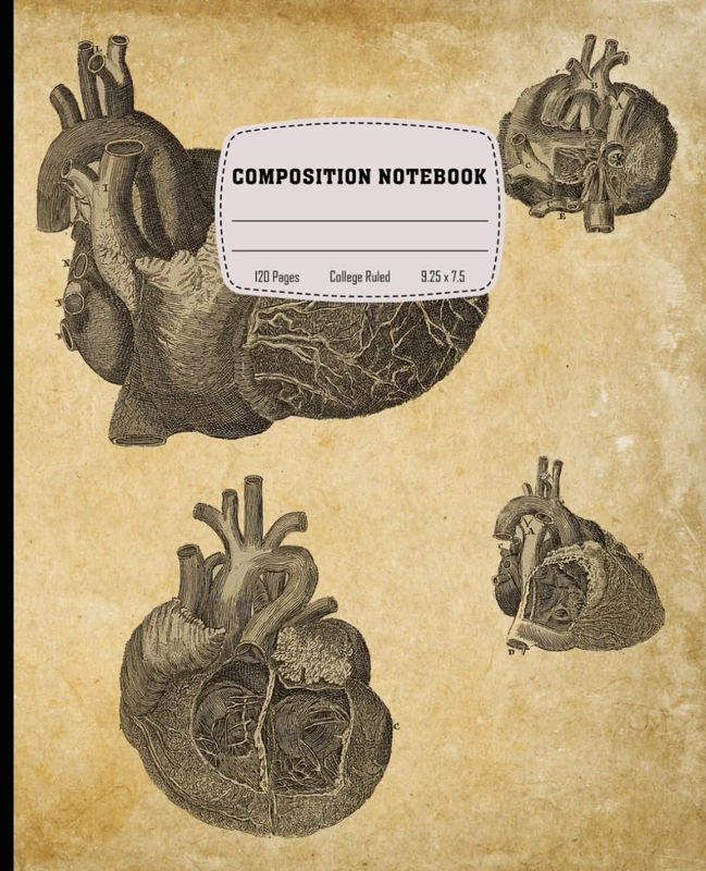 Composition Notebook: Vintage Skull Anatomy Colleg Ruled Book | Antique Human Skeleton Book | Gothic Medical Illustration Composition Book for Anatomy Lovers & Halloween Fans