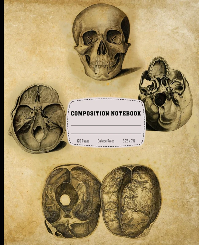 Composition Notebook: Vintage Old Medical Anatomy Illustration Composition Book | Aesthetic Goth School Supply | 120 Page College Ruled Composition Book for Study, Work, or Spooky Vibes