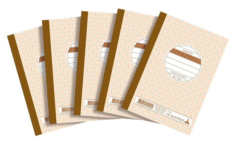 Le Dauphin - Ref 12383D - Cardboard of 100 Manifolds - Carbonless Paper - Squared 5x5 - Small Squares - Duplicate - 50 Sheets - Size 14.8 x 10.5 cm - Varnished Cover