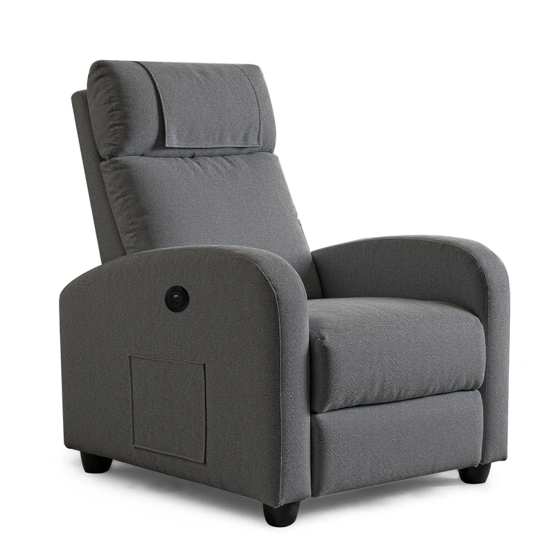 BonVache Recliner Armchair For the Elderly,Lounge Sofa Seating with Type C+USB Ports,High Back Chairs with Dual Side Pockets,Adjustable Leg Rest,for Living Room Bedroom Reading TV,Dark Gray