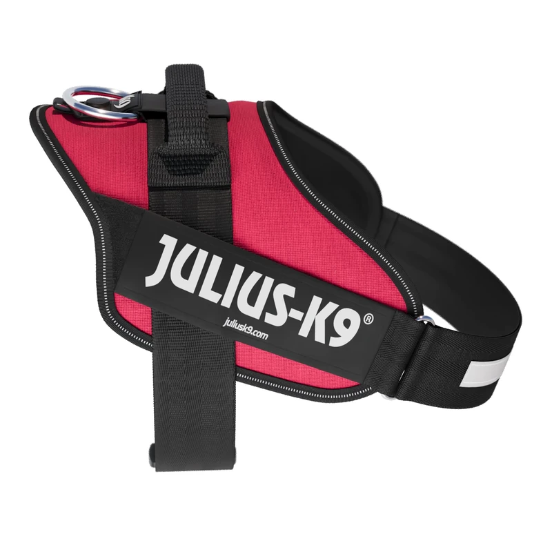 IDC Powerharness, Size: L/1, Viva Magenta