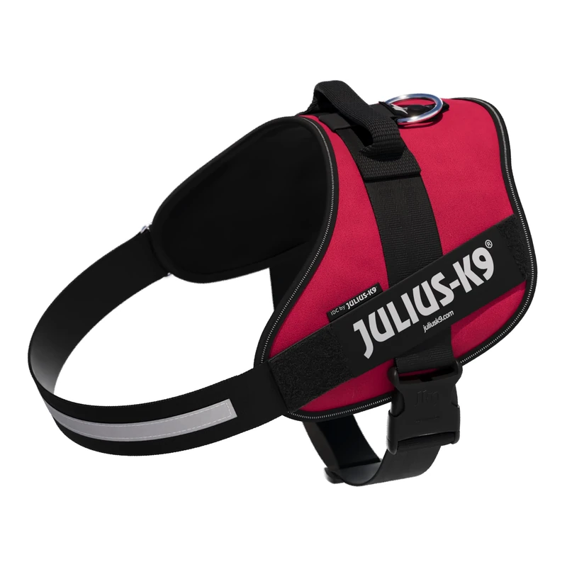 IDC Powerharness, Size: 3XL/4, Viva Magenta