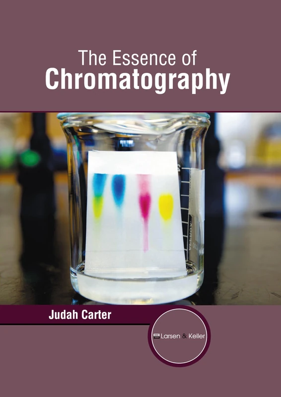 The Essence of Chromatography