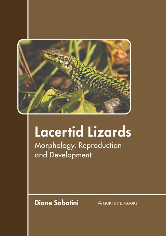 Lacertid Lizards: Morphology, Reproduction and Development