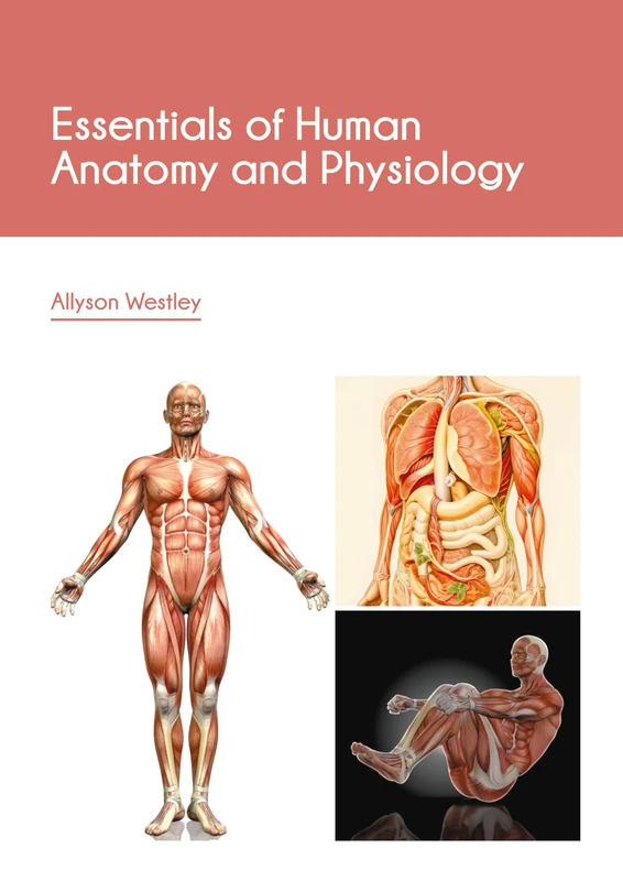 Essentials of Human Anatomy and Physiology
