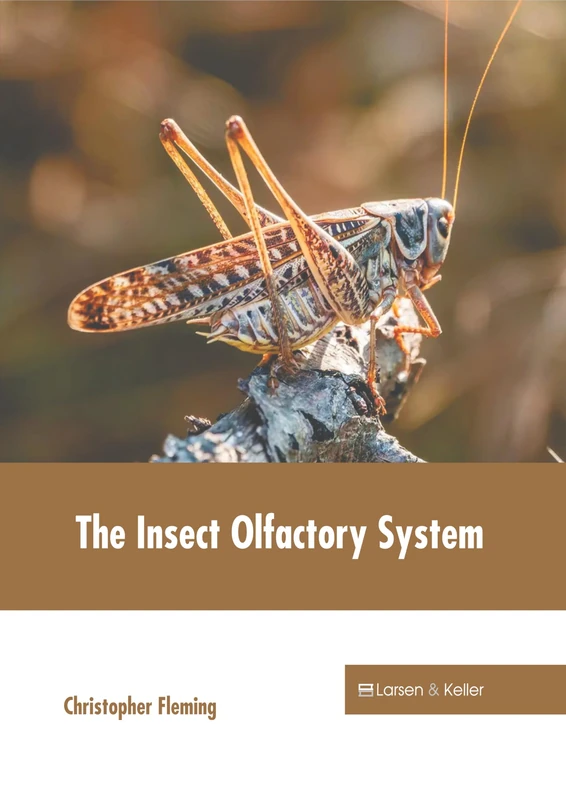 The Insect Olfactory System