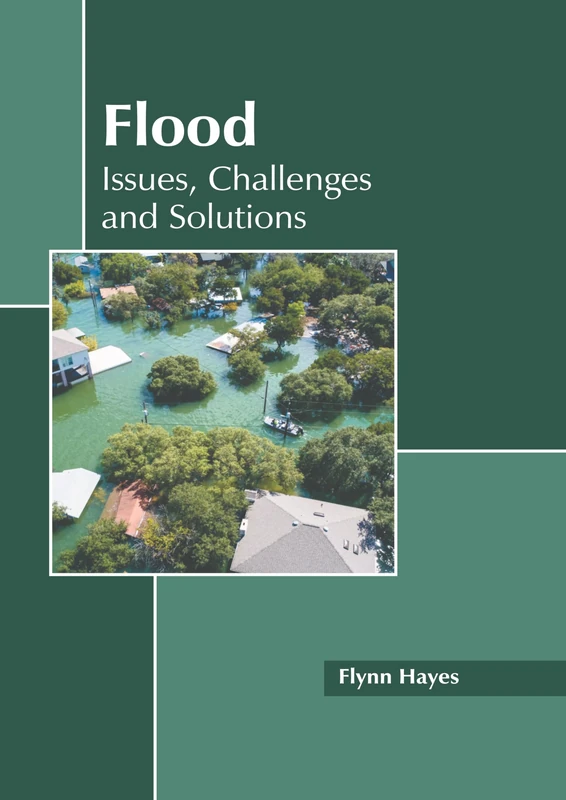 Flood: Issues, Challenges and Solutions