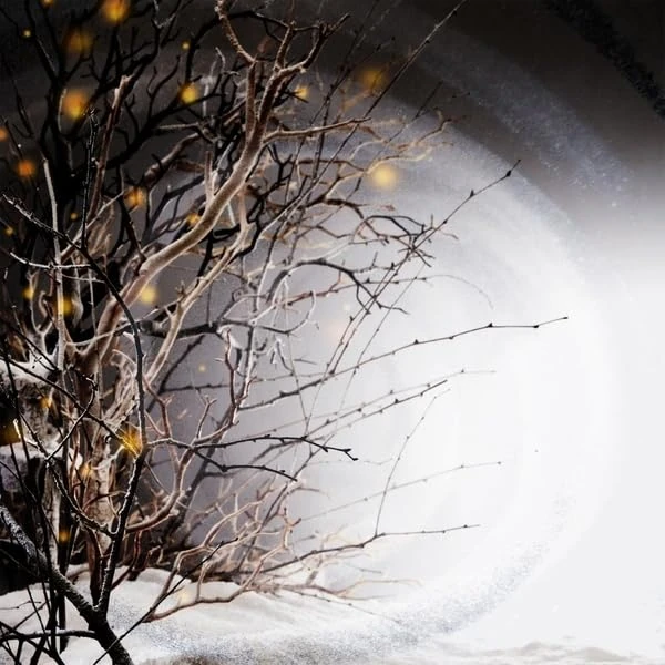 Winterlight LP [VINYL]