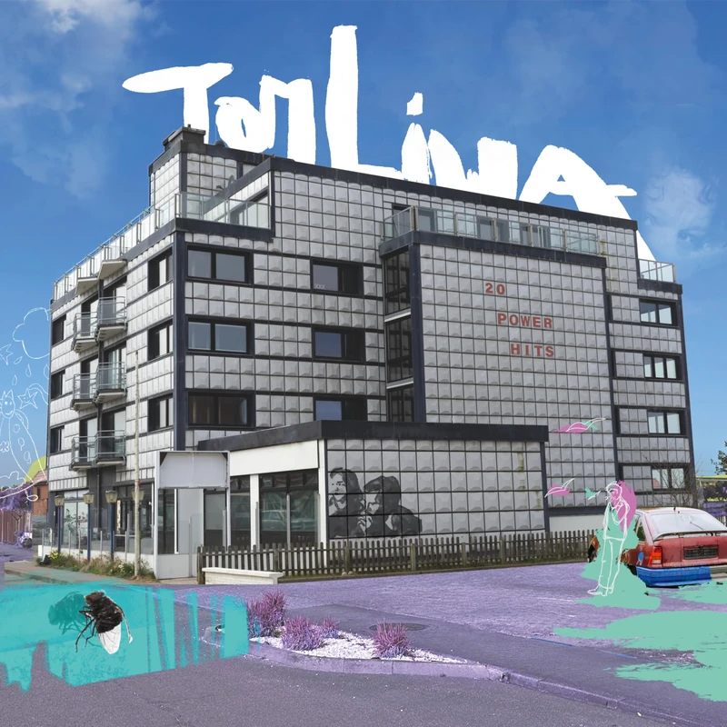 20 Power Hits [VINYL]