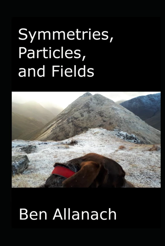 Symmetries, Particles, and Fields