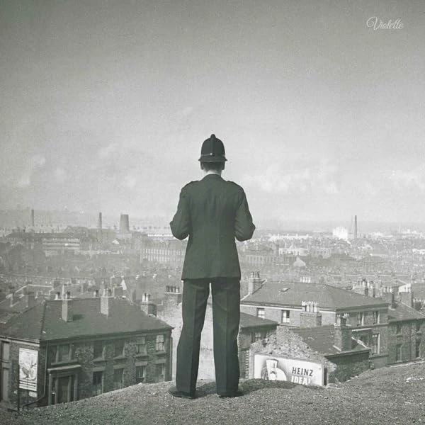 Everyone Wants To Dream [VINYL]