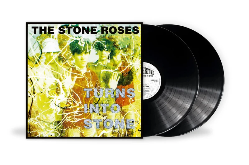 Turns Into Stone [VINYL]
