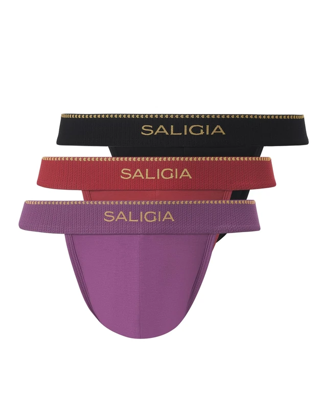 SALIGIA Men’s Bikini Briefs Underwear Sexy, Tag-Free &140s Luxe-Cloud Modal-Cotton High-Cut Brief with No-Fly Pouch 3-Pack