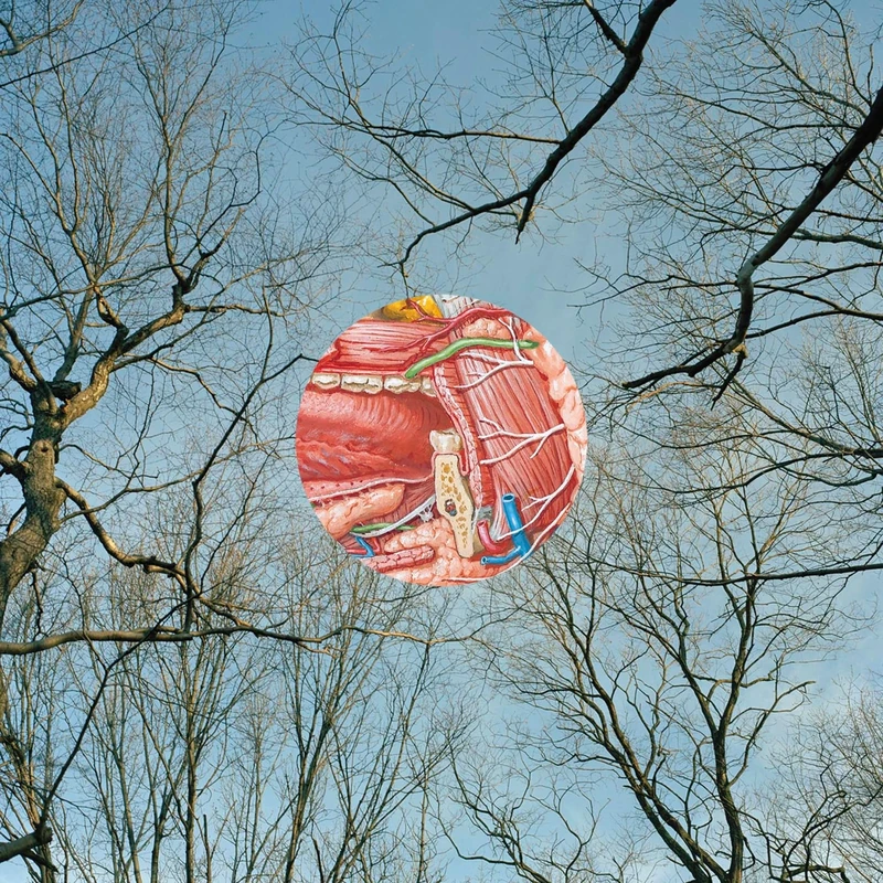 Glean [Vinyl LP] [VINYL]