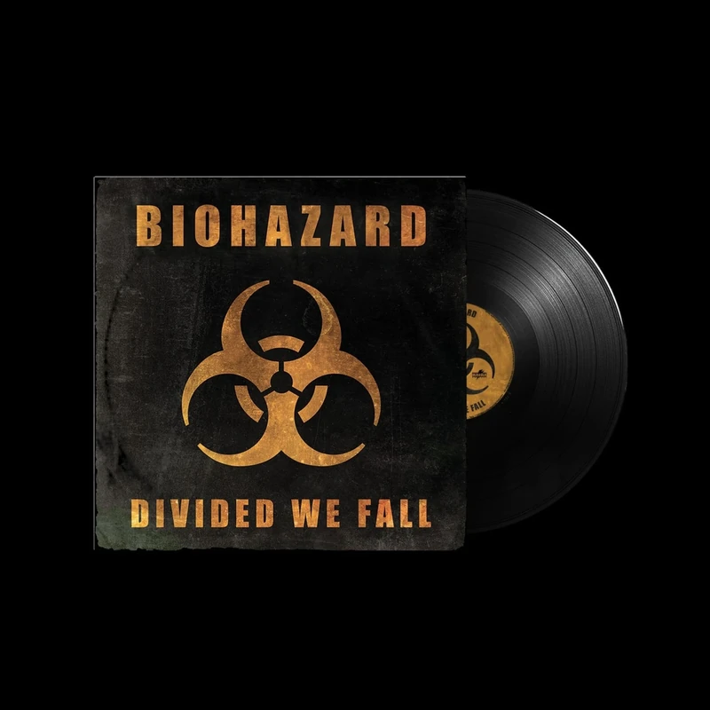 Divided We Fall [VINYL]