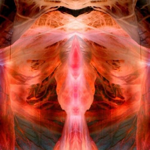 The Annihilating Angel Or The Surface Of The World [VINYL]