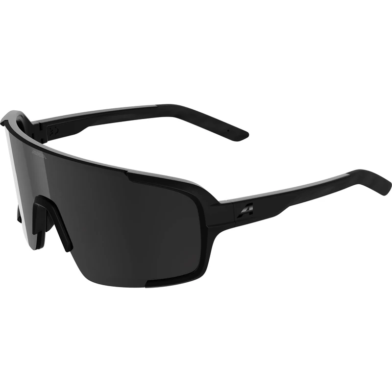 ALPINA LUMIN, adult sunglasses - black matt - M
