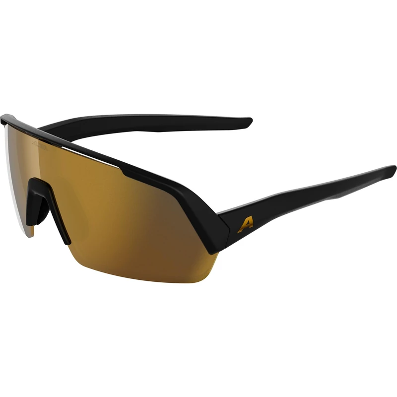 ALPINA TURBO HR, sunglasses for adults - black matt (gold) - S