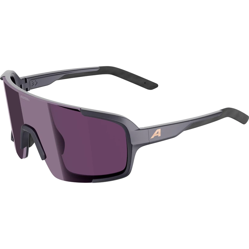 ALPINA LUMIN, adult sunglasses - gun-metall matt - M