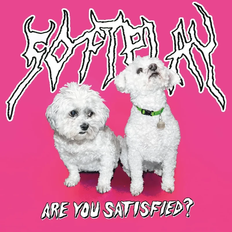Are You Satisfied? [Explicit]