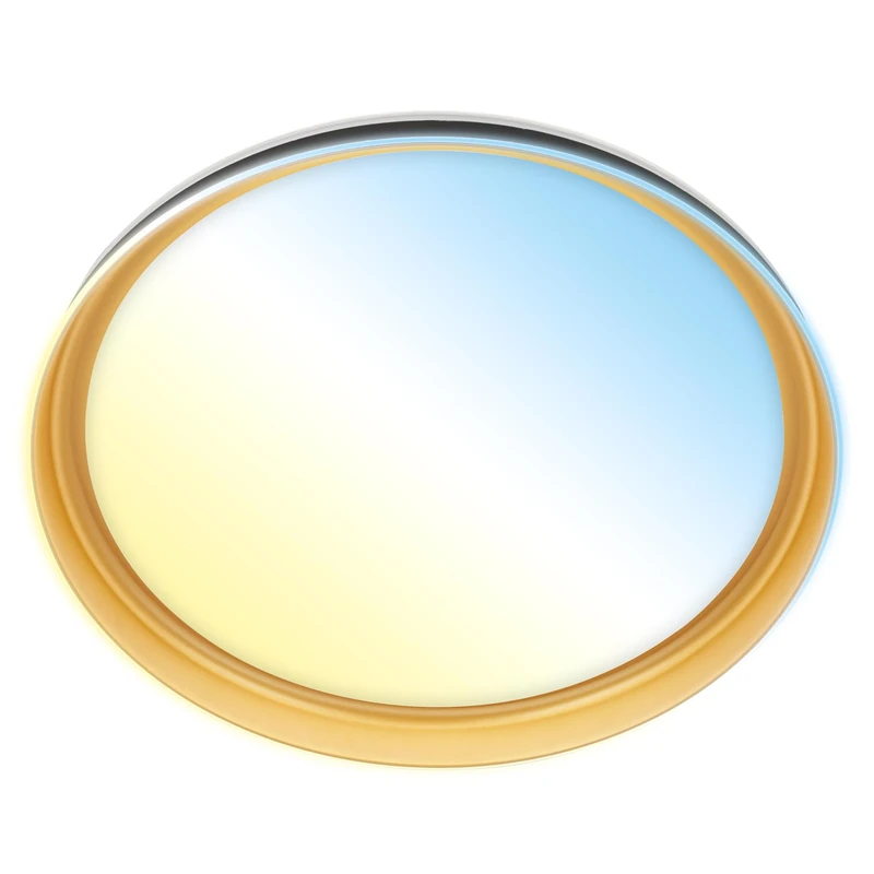 BRILONER - LED Ceiling Light with Remote Control, CCT, Night Light, Timer, Ceiling Lights for Living Room, Bedroom, Lounge, 51 x 7.5 cm, Black-Gold