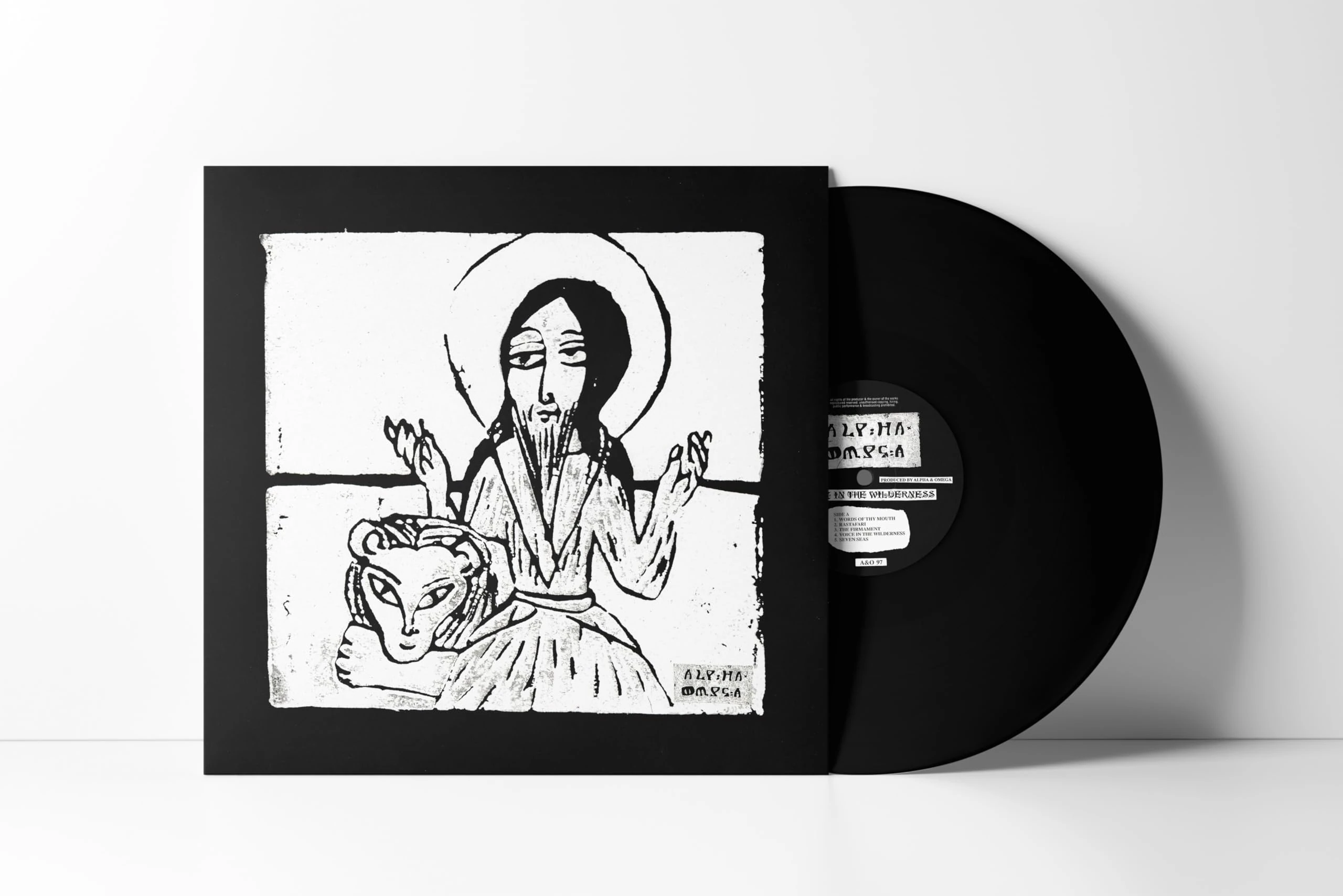 Voice in the Wilderness [VINYL]