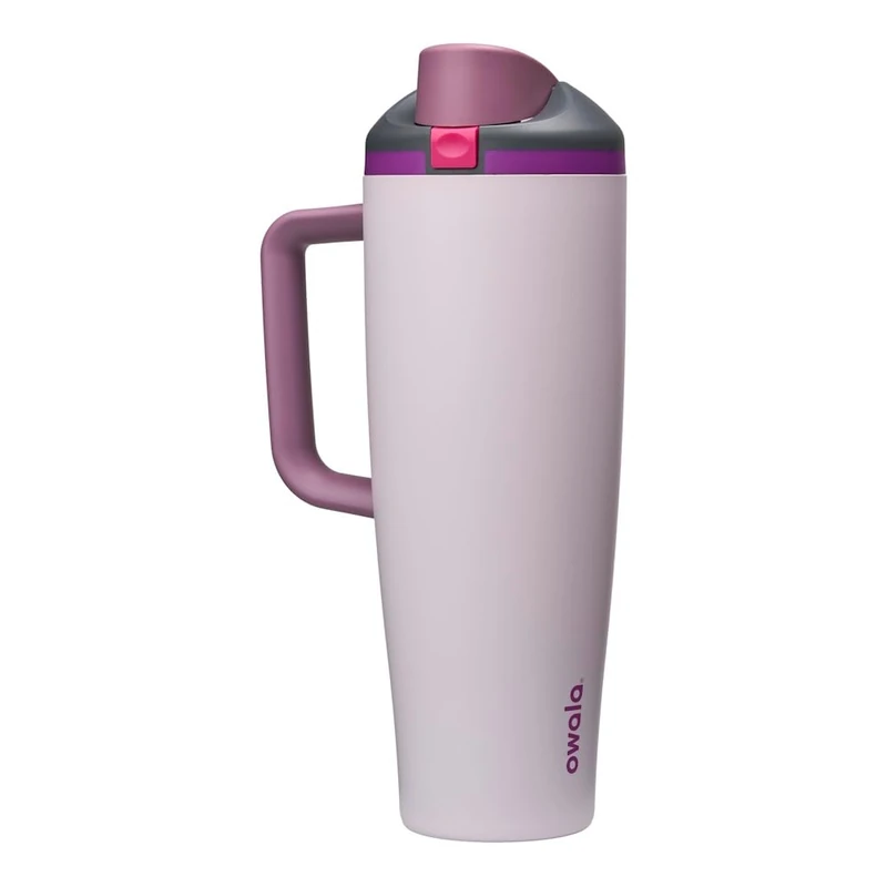 Owala FreeSip Tumbler Insulated Stainless Steel Water Bottle with Built-in Straw and Side Handle, For Travel, Work, School, and Sports, 1185ml, BPA Free, Leak Proof, Dreamy Fields, (Grey/Purple)