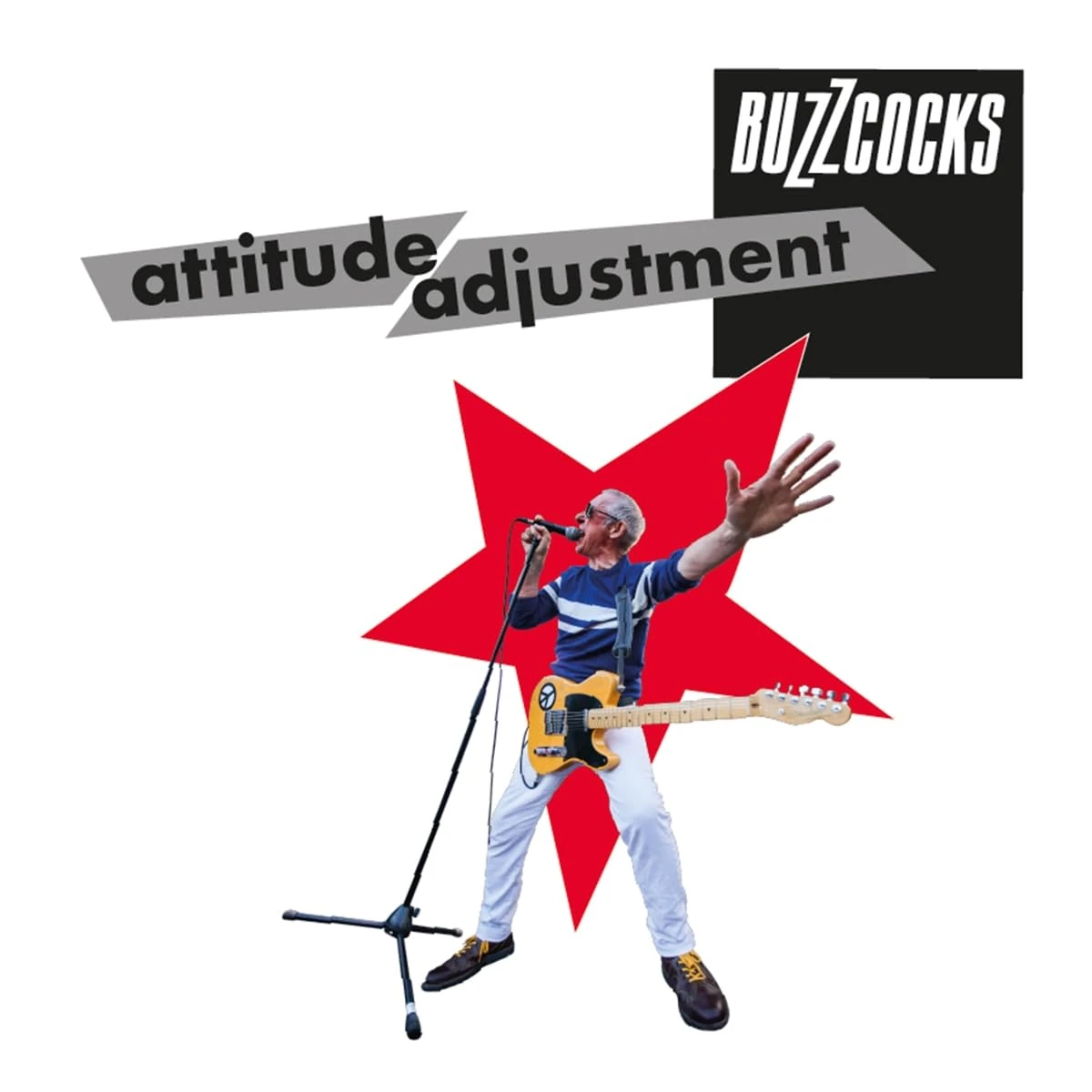 ATTITUDE ADJUSTMENT VINYL EDITION [VINYL]