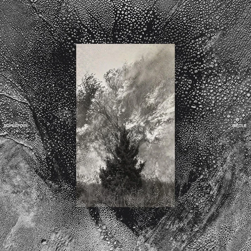 SIECLE Pop CD by BIGWAX - Classic Hits Collection Music Lovers