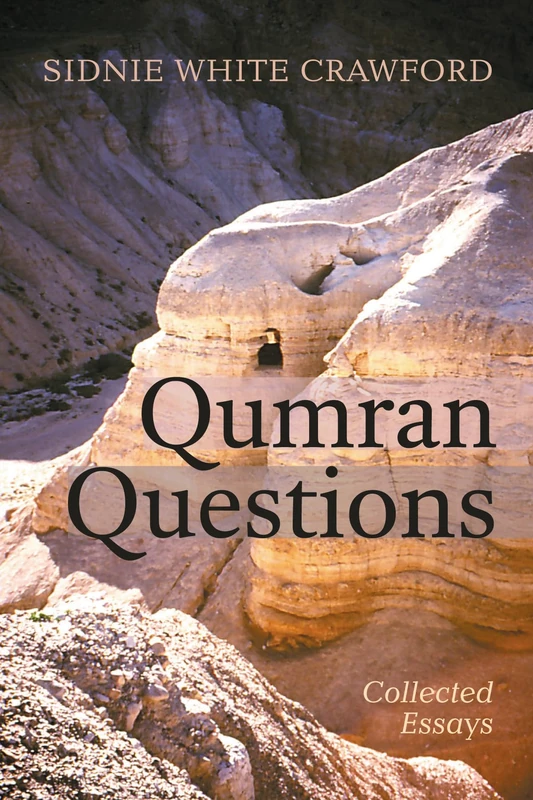 Qumran Questions: Collected Essays