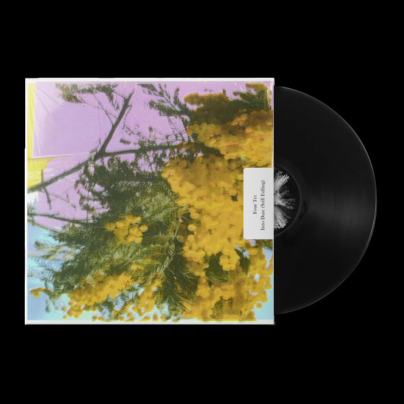 Into Dust (Still Falling) [VINYL]