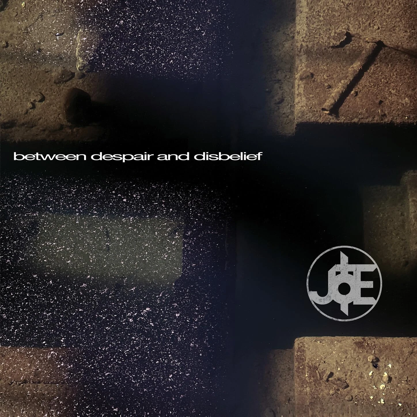 Between Despair and Disbelief [Explicit]