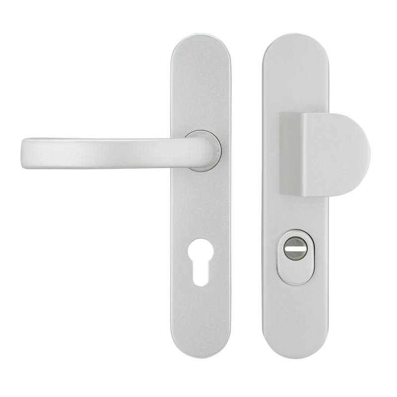 Bricard 9890071 Set of Armoured Handles on Silver Sandblasted Aluminium Plate, Kickstand + Fin for Front Door