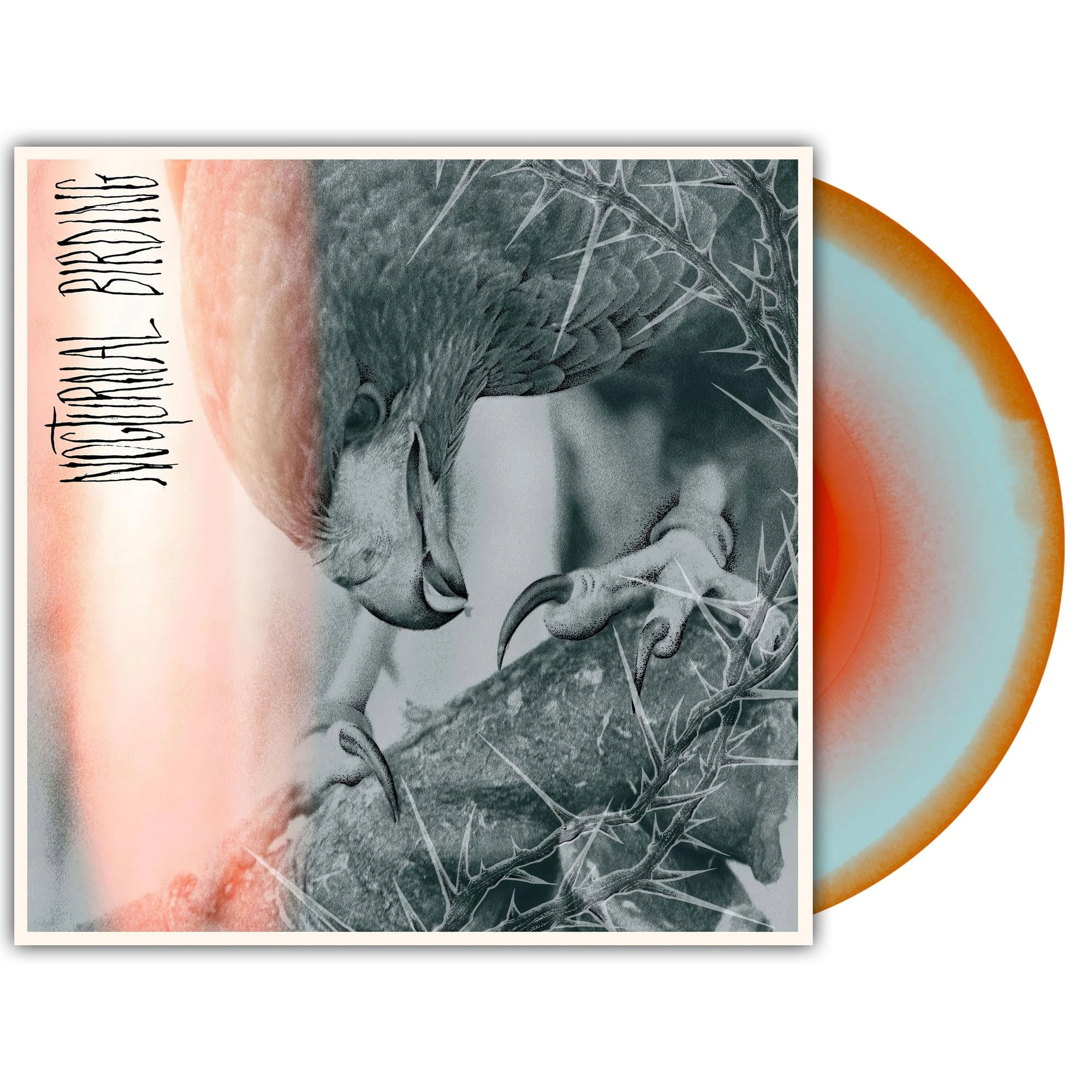 Nocturnal Birding [VINYL]