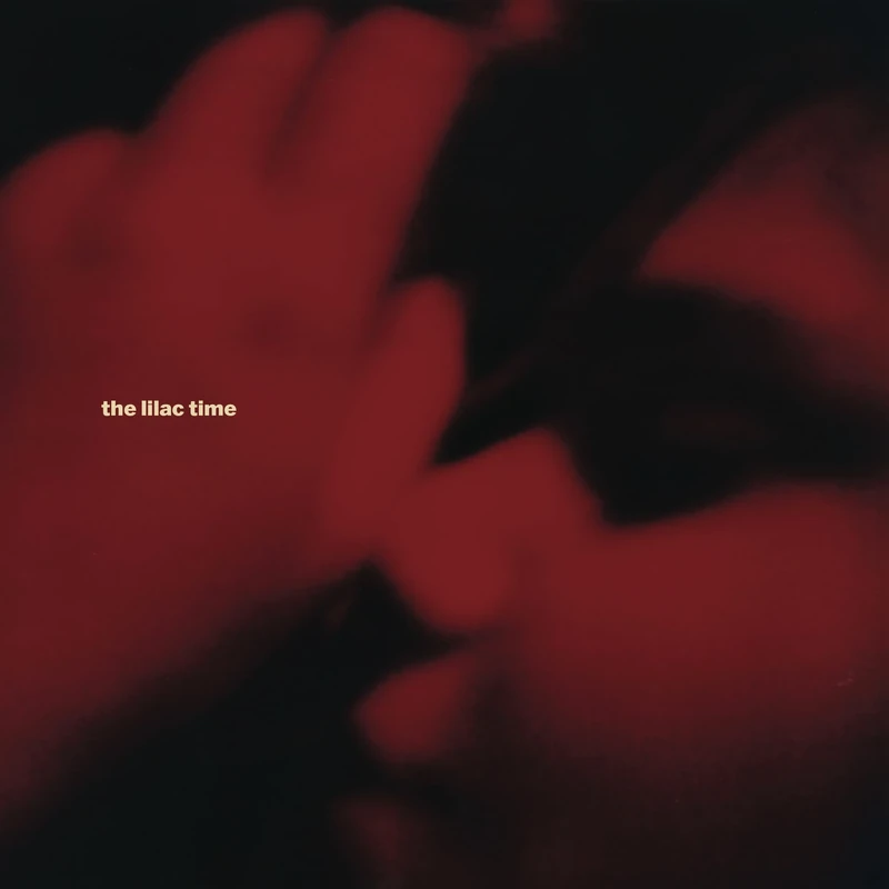 Looking For A Day In The Night [VINYL]