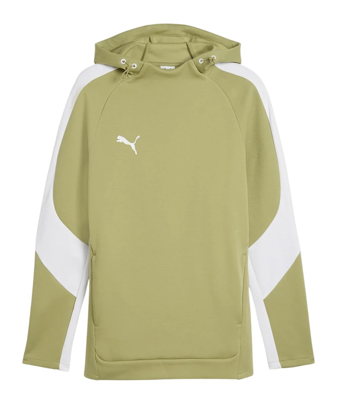 PUMA teamEVOSTRIPE Hoody