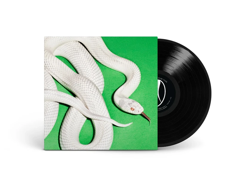 WARNER RECORDS Private Music Vinyl - Rock Album New Stock